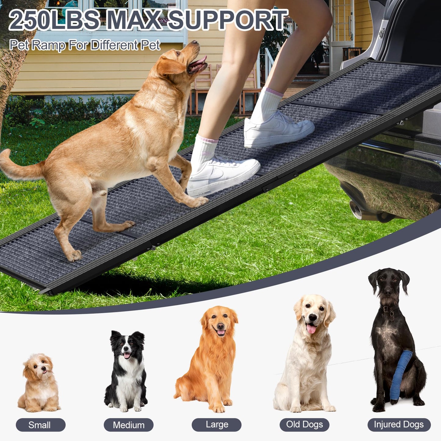 Dog Ramp for Car, 63" Long & 17" Wide Folding Portable Pet Stair Ramp with Non-Slip Rug Surface, Extra Wide Dog Steps for Medium & Large Dogs Up to 250LBS Enter a Car, SUV & Truck